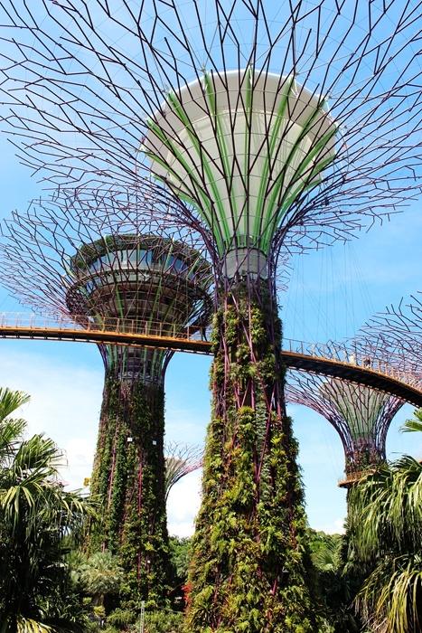 新加坡10大宜居城市(新加坡这座城市的代表之作)(56)