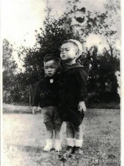 洪湖赤卫队贺英个人资料（红色丽人陈波儿）(7)