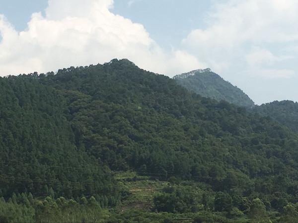 清远哪里可以漂流(清远市漂流体验)(23)