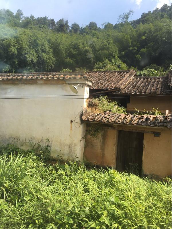 清远哪里可以漂流(清远市漂流体验)(8)