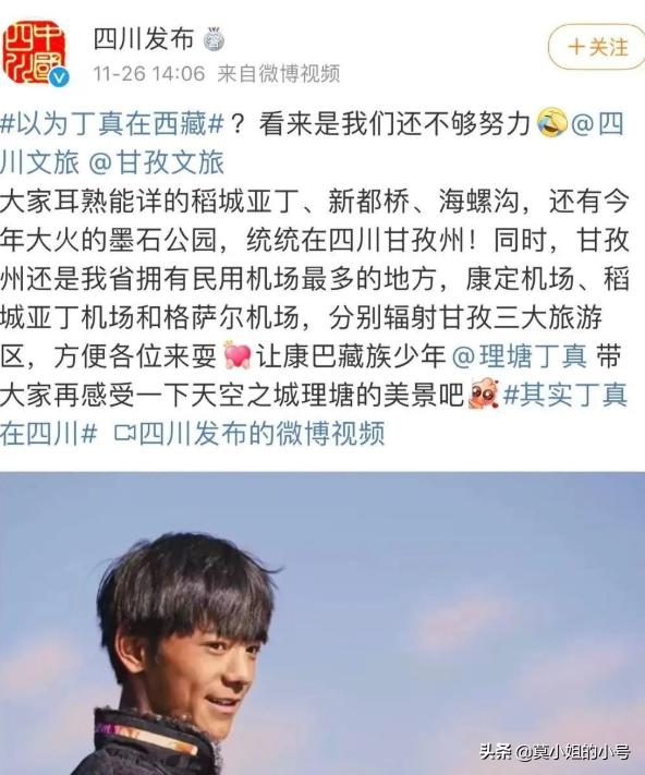 丁真为什么会联合国演讲(丁真就登上了联合国的演讲台)(12)