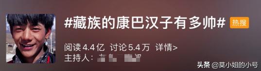 丁真为什么会联合国演讲(丁真就登上了联合国的演讲台)(9)