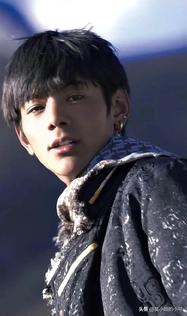 丁真为什么会联合国演讲(丁真就登上了联合国的演讲台)(18)