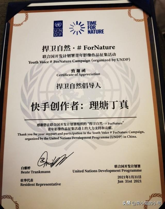 丁真为什么会联合国演讲(丁真就登上了联合国的演讲台)(7)