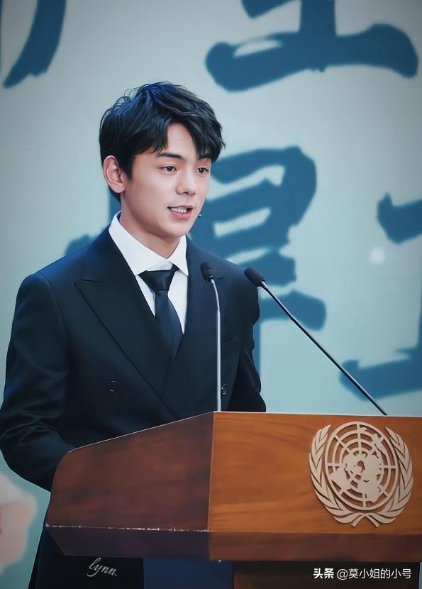 丁真为什么会联合国演讲(丁真就登上了联合国的演讲台)(4)