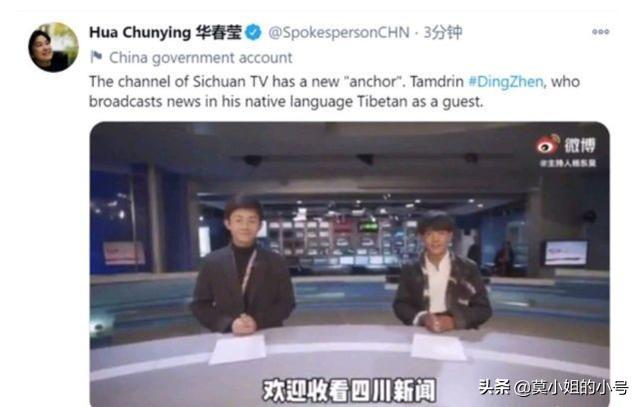 丁真为什么会联合国演讲(丁真就登上了联合国的演讲台)(16)