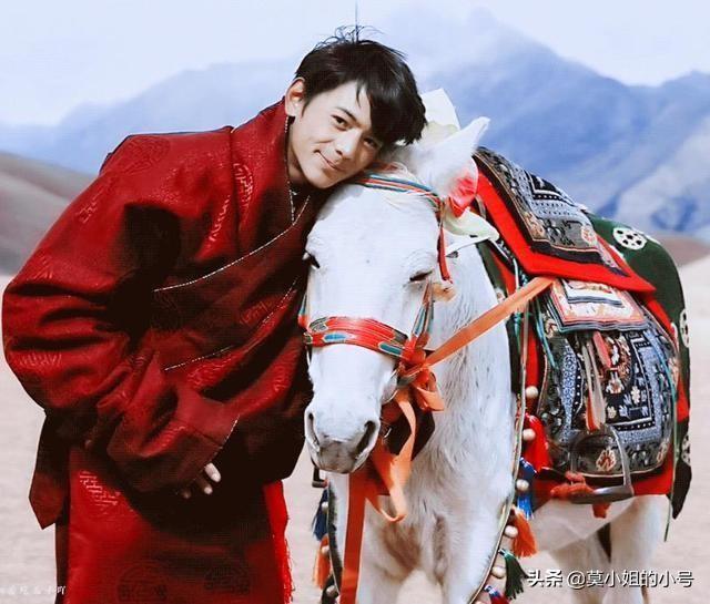 丁真为什么会联合国演讲(丁真就登上了联合国的演讲台)(11)