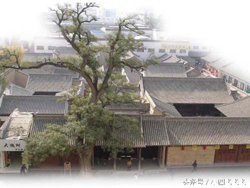 天水旅游必去的景点排名榜(天水的这些旅游景点)(17)