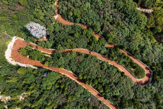 济南之春济南的春天又有什么特点(济南诗意的春天已经开启)(20)