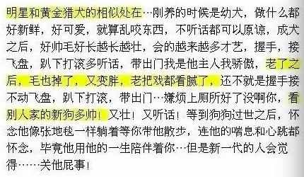 欧弟当年为什么离开天天向上（欧弟回归芒果却不回天天）(6)