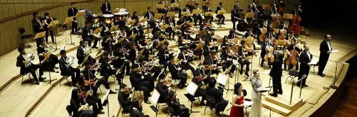 新加坡南洋艺术学院广东分校(新加坡南洋艺术学院-------亚洲首屈一指的艺术院校)(11)