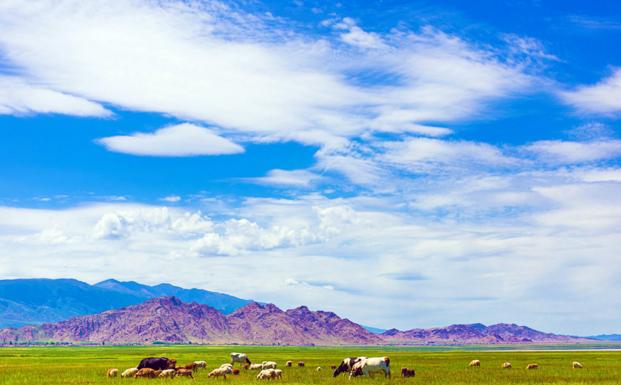 哈密市十大旅游景点介绍图(西域襟喉丝路重镇)(12)