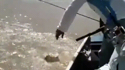 为什么鳄鱼捕食的时候会流眼泪(动物界的伪君子)(2)