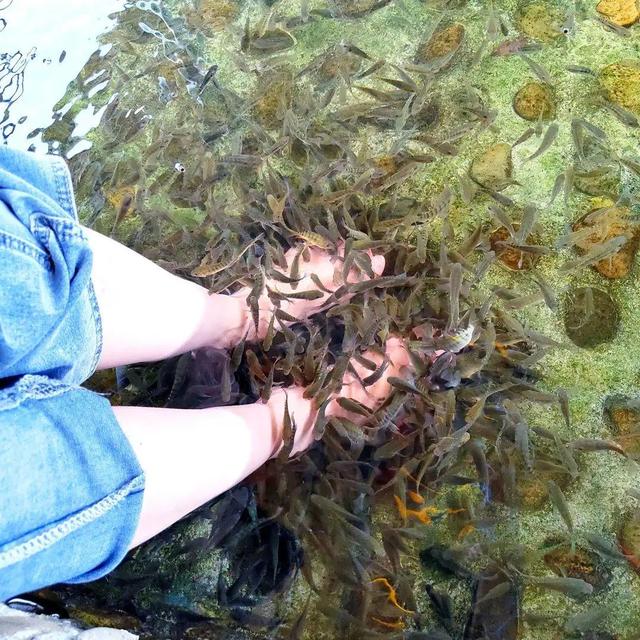 清远天子山旅游景点(清远天子山瀑布景区)(49)