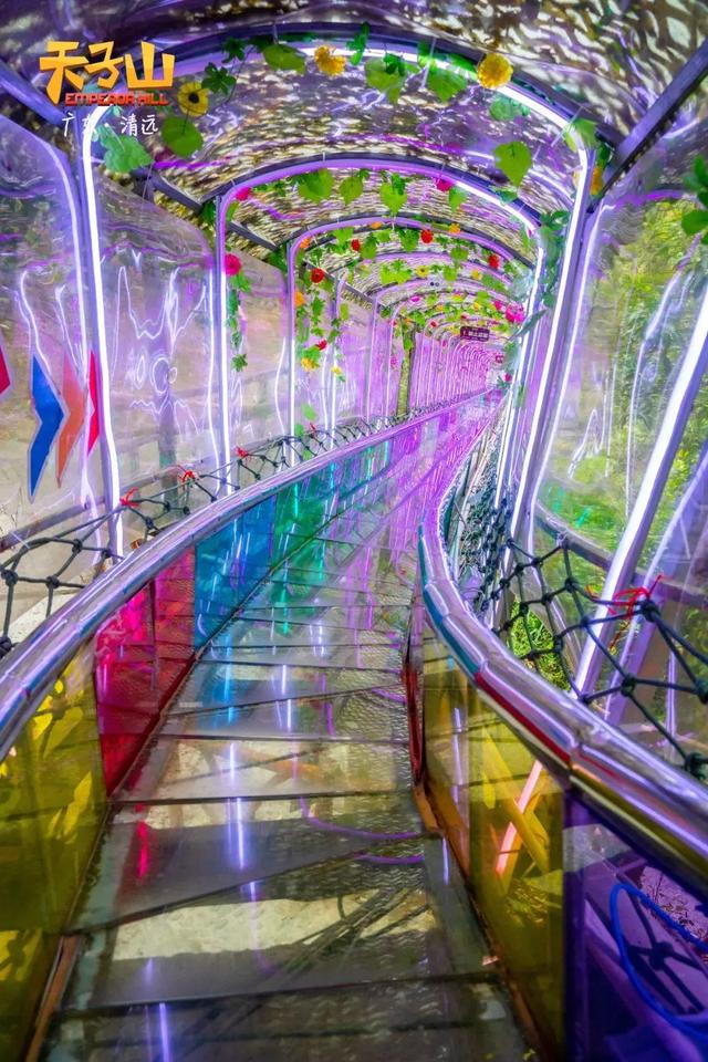 清远天子山旅游景点(清远天子山瀑布景区)(40)