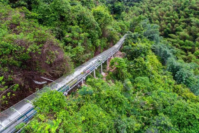 清远天子山旅游景点(清远天子山瀑布景区)(43)