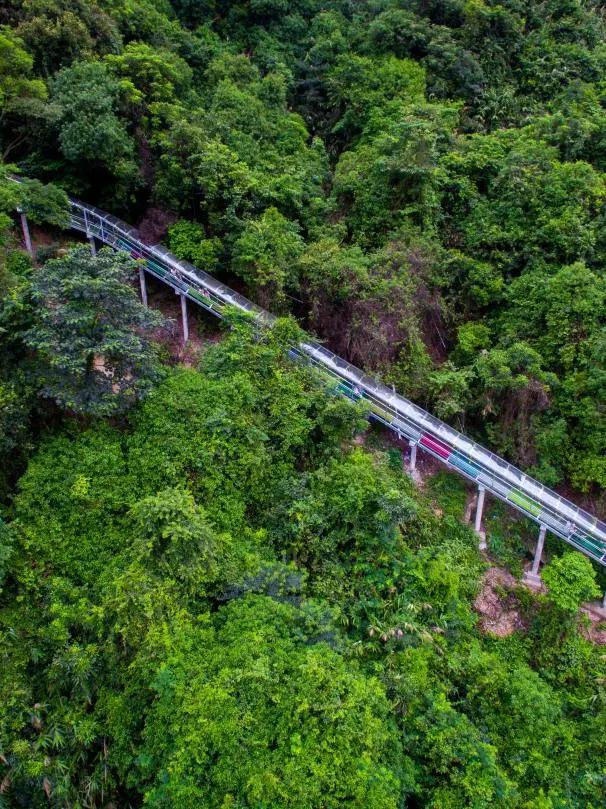 清远天子山旅游景点(清远天子山瀑布景区)(38)