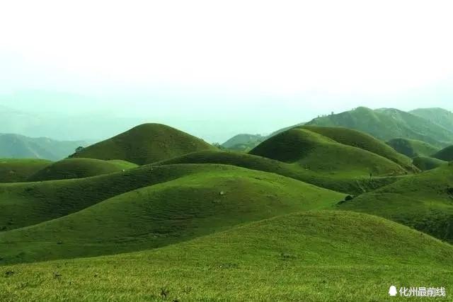 高州旅游攻略地图（游尽高州20个美景）(21)