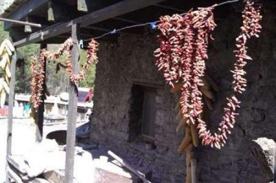 ​广州好的专科学校有哪些（广州比较好的专科有哪些）