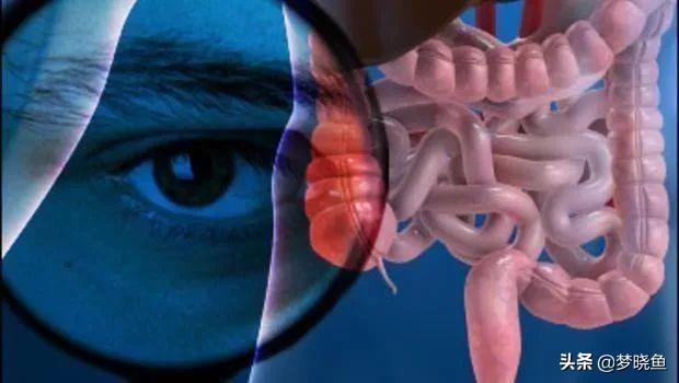 有一种优雅叫做奥黛丽赫本（始于颜值陷于演技）(9)