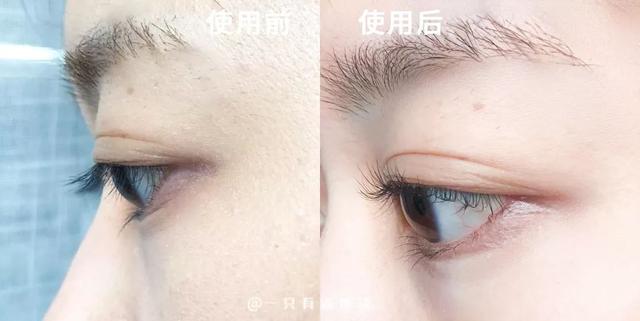 网红加长浓密睫毛膏（护士长测评站8款网红睫毛夹大pk）(21)