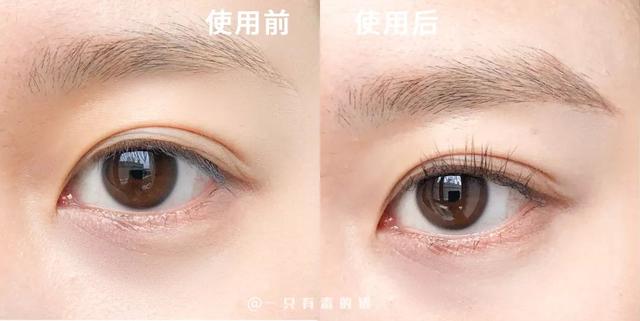 网红加长浓密睫毛膏（护士长测评站8款网红睫毛夹大pk）(20)