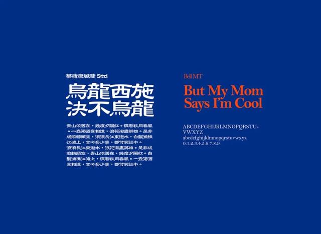 品牌vi全套设计（优秀品牌VI设计案例欣赏）(3)