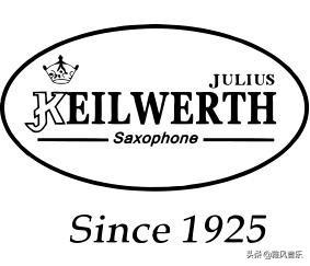 初学萨克斯买什么品牌的好(初学者注意:这6种途径购买萨克斯不会被坑)(10)