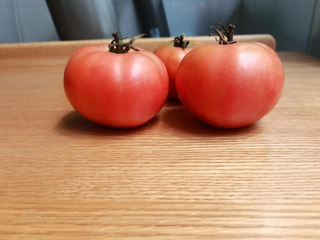 关于爱情的水果(西红柿又称爱情果)(3)