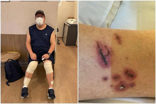 非洲小爪水獭(城市被各路水獭占领)(22)