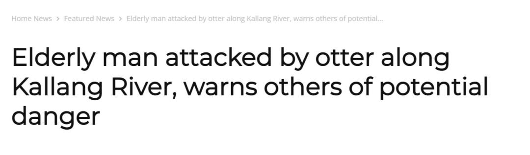 非洲小爪水獭(城市被各路水獭占领)(20)