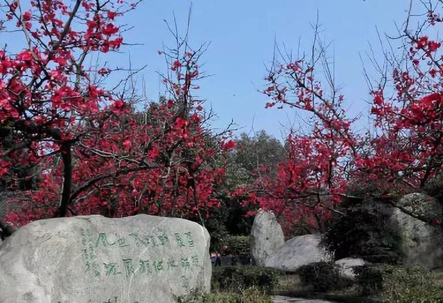 地铁3号线最新线路图南延(地铁3号线三期预计年底开通)(9)