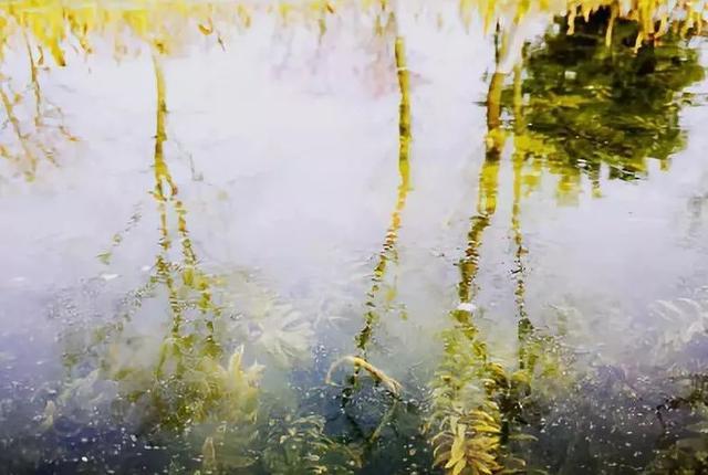 地铁3号线最新线路图南延(地铁3号线三期预计年底开通)(8)