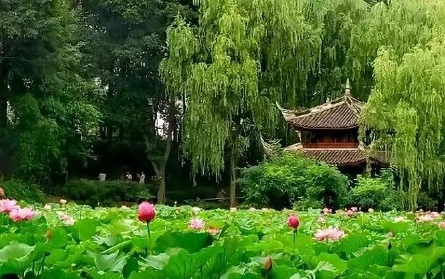 地铁3号线最新线路图南延(地铁3号线三期预计年底开通)(13)