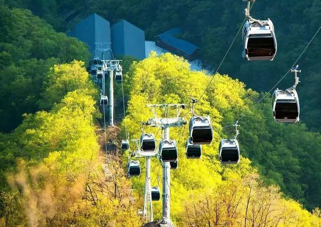 河南景区免门票方法（河南这么多景区免门票）(4)