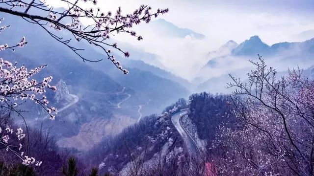 河南景区免门票方法（河南这么多景区免门票）(6)