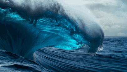 高考前最值得看的纪录片(学霸都在看的高分优质纪录片)(10)