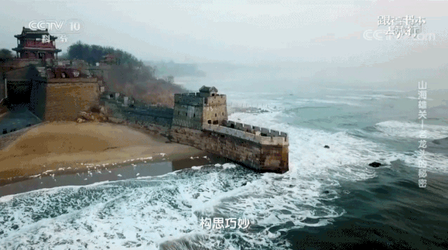 高考前最值得看的纪录片(学霸都在看的高分优质纪录片)(2)