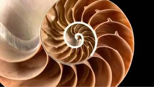 高考前最值得看的纪录片(学霸都在看的高分优质纪录片)(5)