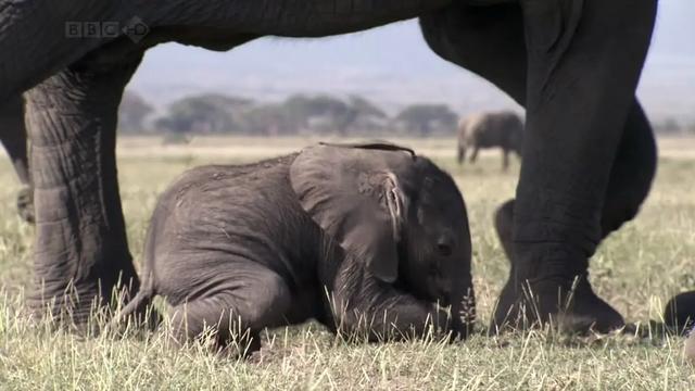 高考前最值得看的纪录片(学霸都在看的高分优质纪录片)(14)