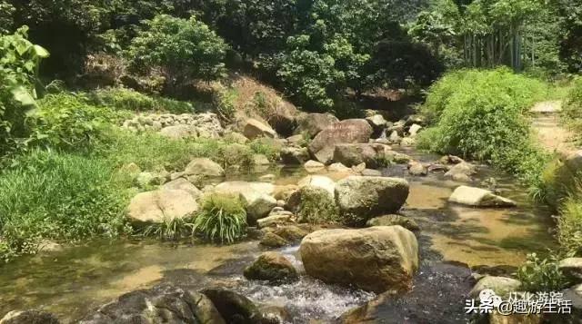 从化值得去的景点推荐(免费景点攻略请收好)(10)