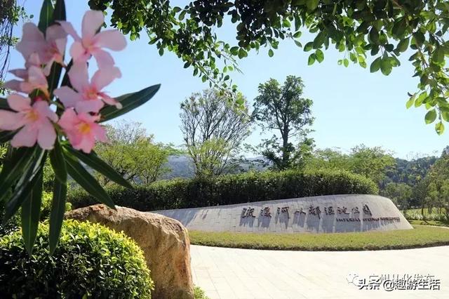 从化值得去的景点推荐(免费景点攻略请收好)(23)