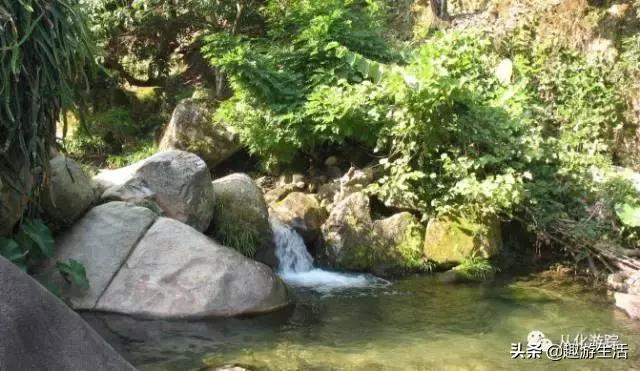 从化值得去的景点推荐(免费景点攻略请收好)(8)