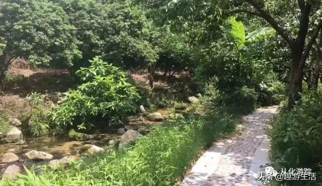 从化值得去的景点推荐(免费景点攻略请收好)(11)