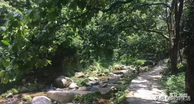 从化值得去的景点推荐(免费景点攻略请收好)(12)