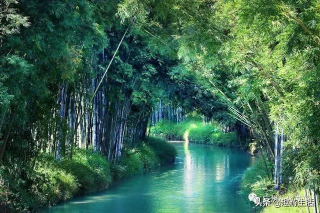 从化值得去的景点推荐(免费景点攻略请收好)(16)