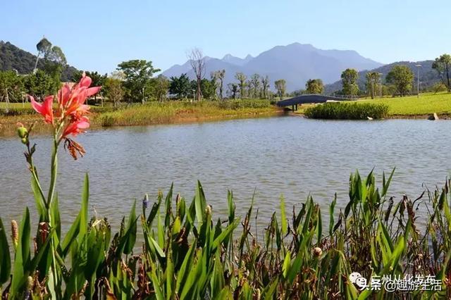 从化值得去的景点推荐(免费景点攻略请收好)(25)