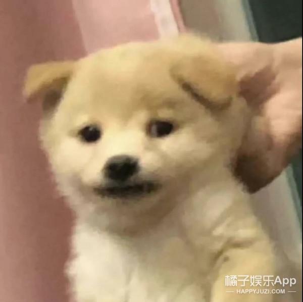 王晴在创造101出什么事了（还记得创1里的王晴吗）(22)