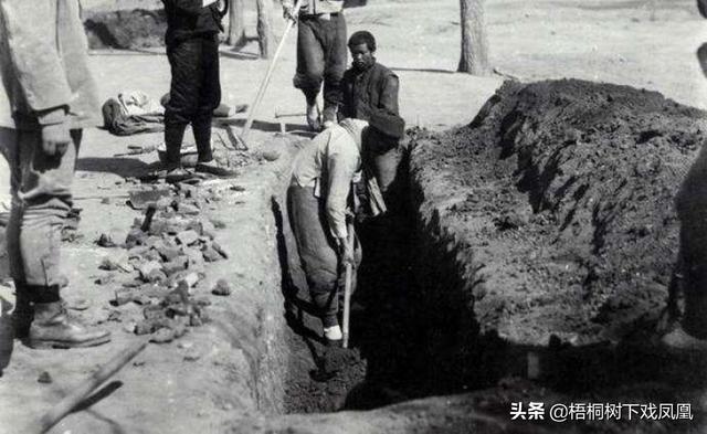 二月二龙抬头理发剃头好吗(民间兴剃龙头)(7)