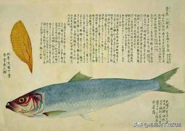 二月二龙抬头理发剃头好吗(民间兴剃龙头)(11)